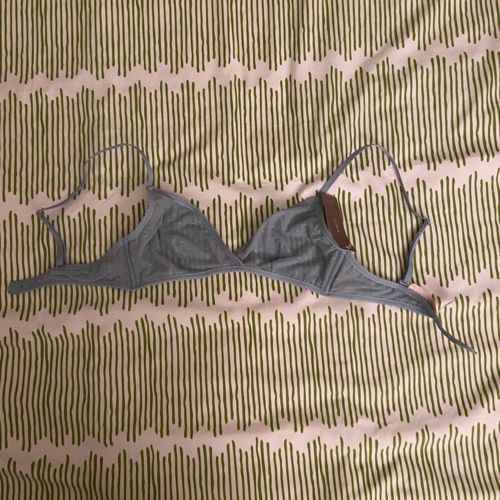 jcrew sheer bralette (TAGS ATTACHED)
